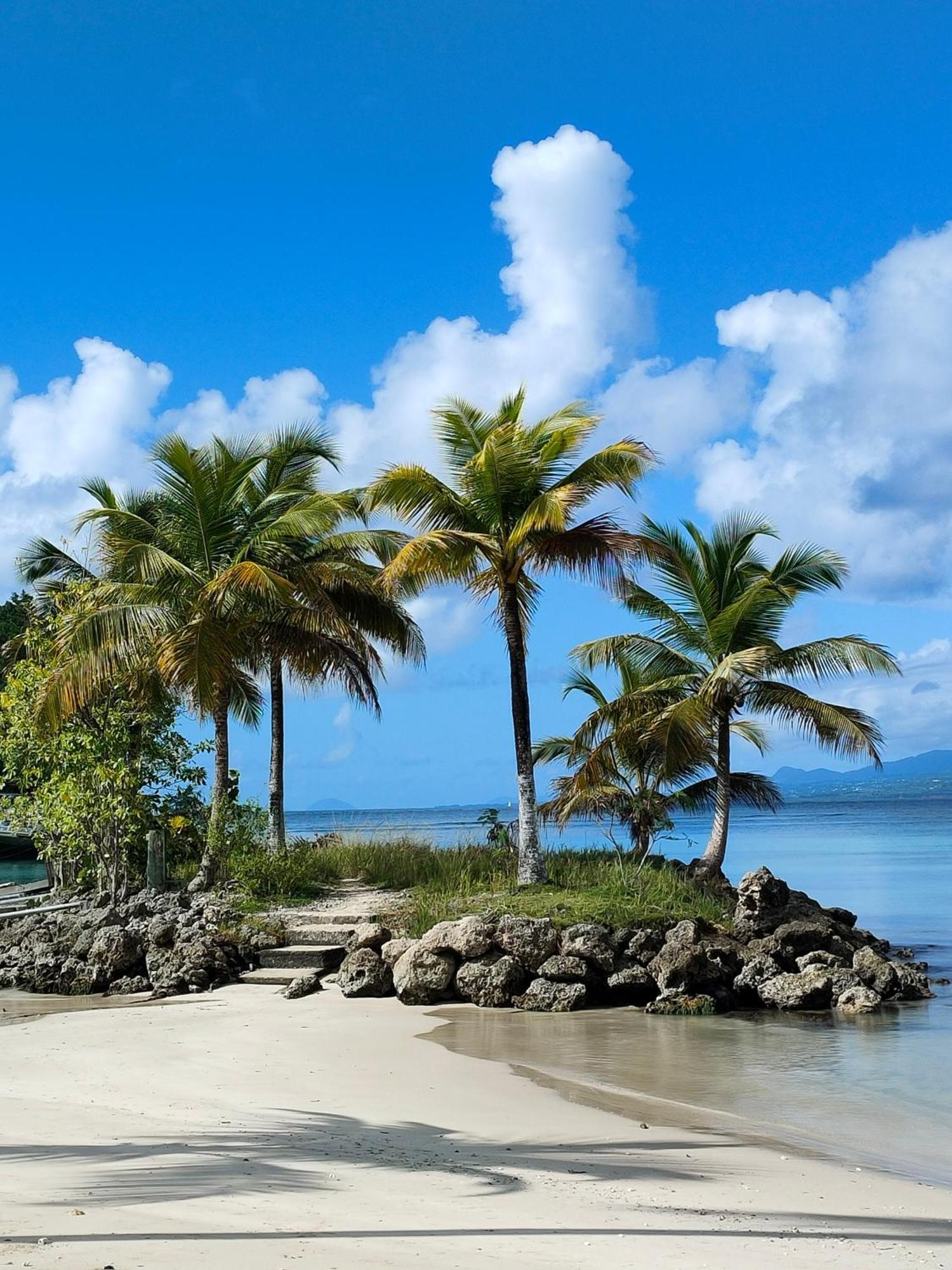 Studio Vue Mer, Pieds Dans L'Eau Le Gosier  Exterior photo